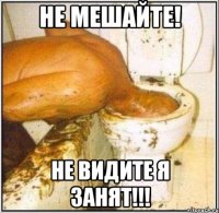 Не мешайте! Не видите я занят!!!