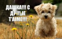 ДАШКА!!! С ДР!!! Je t'aime!!!