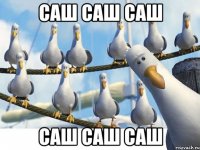 САШ САШ САШ САШ САШ САШ