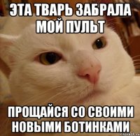 Эта тварь забрала мой пульт прощайся со своими новыми ботинками