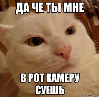 да че ты мне в рот камеру суешь