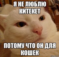 Я не люблю китекет Потому что он для кошек