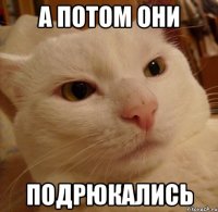 А ПОТОМ ОНИ ПОДРЮКАЛИСЬ