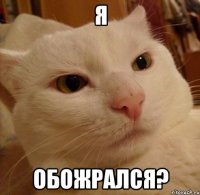 я обожрался?