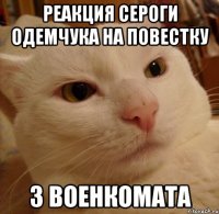 реакция Сероги Одемчука на повестку з военкомата