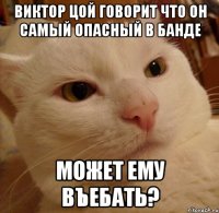 Виктор Цой говорит что он самый опасный в банде Может ему въебать?