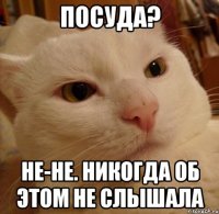 Посуда? Не-не. Никогда об этом не слышала