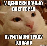 У Дениски ночью свет горел Курил мою траву однако