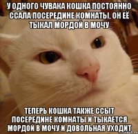 у одного чувака кошка постоянно ссала посередине комнаты, он её тыкал мордой в мочу теперь кошка также ссыт посередине комнаты и тыкается мордой в мочу и довольная уходит