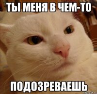 ты меня в чем-то подозреваешь