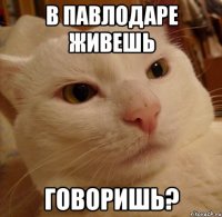 в Павлодаре живешь говоришь?