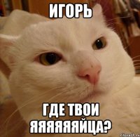 Игорь Где твои яяяяяяйца?