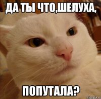 да ты что,шелуха, попутала?