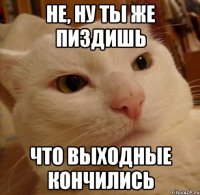 Не, ну ты же пиздишь что выходные кончились