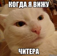 Когда я вижу Читера