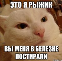 Это я рыжик Вы меня в белезне постирали
