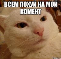 Всем похуй на мой комент 
