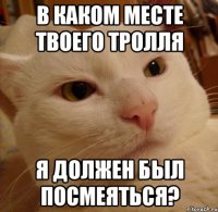 в каком месте твоего тролля я должен был посмеяться?
