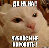 Да ну на ! Чубайс и не воровать !