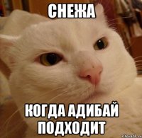 СНЕЖА КОГДА АДИБАЙ ПОДХОДИТ
