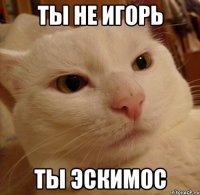 Ты не Игорь Ты эскимос