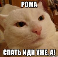 РОМА СПАТЬ ИДИ УЖЕ, А!