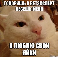 говоришь в ветэксперт несешь меня я люблю свои яйки