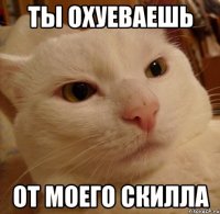 ты охуеваешь от моего скилла