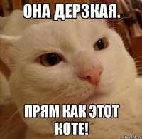 она дерзкая. прям как этот коте!