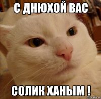 С днюхой вас Солик ханым !