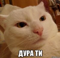  дура ти