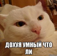  дохуя умный что ли