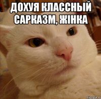 дохуя классный сарказм, Жiнка 
