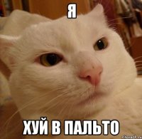 Я хуй в пальто