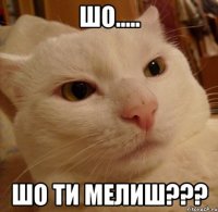 ШО..... шо ти МЕЛИШ???