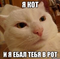 я кот и я ебал тебя в рот