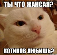 Ты что Жансая? Котиков любишь?