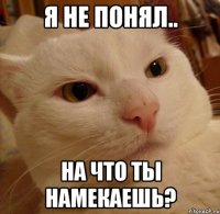 я не понял.. на что ты намекаешь?