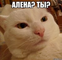 Алена? Ты? 