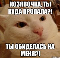 козявочка, ты куда пропала?! Ты обиделась на меня?!