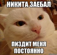 Никита заебал пиздит меня постоянно