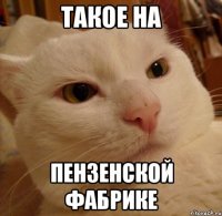 такое на пензенской фабрике
