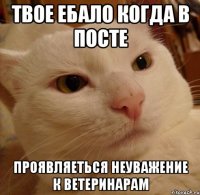 твое ебало когда в посте проявляеться неуважение к ветеринарам