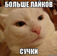больше лайков сучки