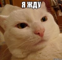 Я ЖДУ 