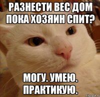 разнести вес дом пока хозяин спит? могу. умею. практикую.