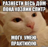 разнести весь дом пока хозяин спит? могу. умею. практикую.
