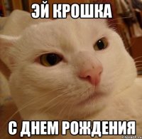 ЭЙ КРОШКА С ДНЕМ РОЖДЕНИЯ
