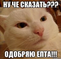 НУ ЧЕ СКАЗАТЬ??? ОДОБРЯЮ ЕПТА!!!
