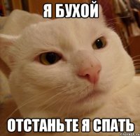 я бухой отстаньте я спать